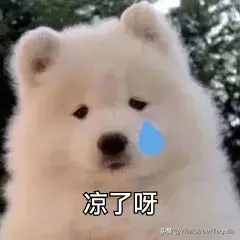求职应聘英语口语对话_英语求职口语范文_留学生求职英语口语要求